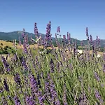 Il Fienile Di Ca Battista Apartman