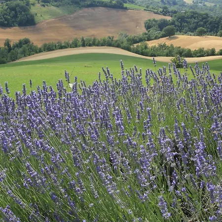 Il Fienile Di Ca Battista * Cagli