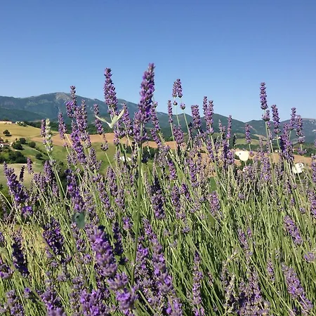 Il Fienile Di Ca Battista דירה