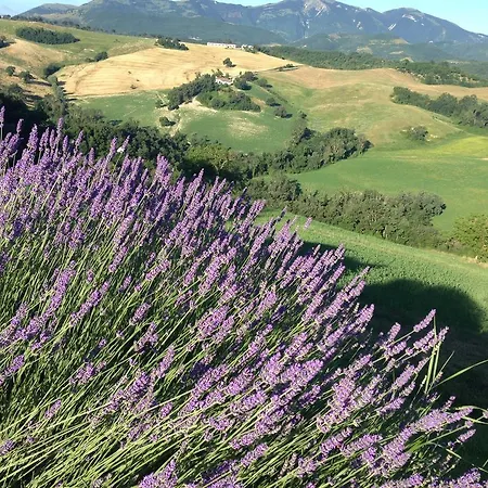 דירה Il Fienile Di Ca Battista קאלי