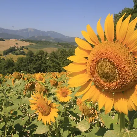 Il Fienile Di Cà Battista Appartamento Cagli