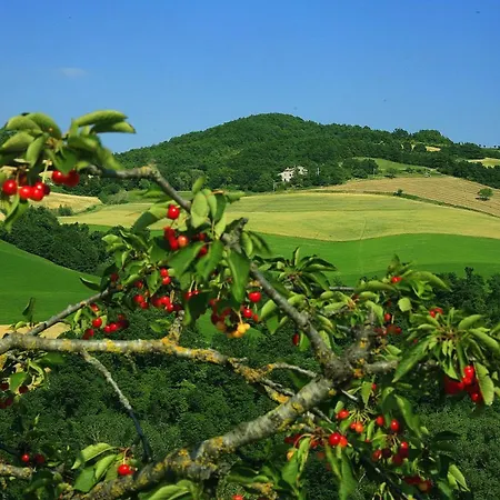 Appartamento Il Fienile Di Cà Battista Cagli